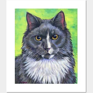 Gray and White Longhair Tuxedo Cat Posters and Art